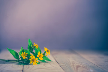 Yellow flowers on wooden table, vintage style