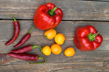 Fresh vegetables on the wooden table