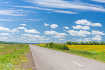 Fototapeta na wymiar Asphalt road near the field with sunflowers under blue sky with clouds