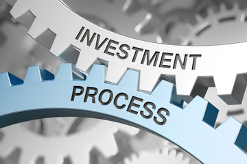 Investment process
