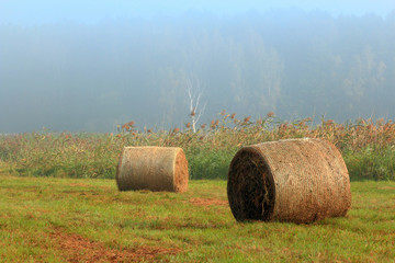 Jesienne Sianokosy © Wojciech Lisiński