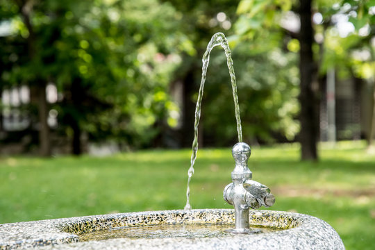 公園の水飲み場