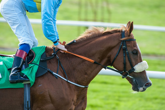 close-up of jockey on a race horse