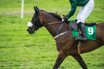 Race horse and jockey on the track