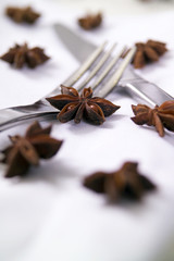Fork and knife on a white cloth with star anise