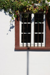 Nostalgisches Fenster mit Eisenstangen / Das nostalgische Holzfenster eines denkmalgeschützten Hauses mit Eisenstangen vor dem Rahmen, einer hellen Fassade sowie Weinblättern.