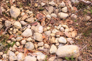 Россыпь камней;