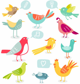 Cute colored birds with signs vector illustration