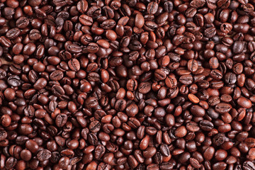coffee beans and red ripe coffee