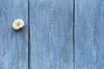 flower on old wooden bacground