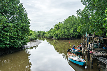 Scene of living place at the Mangrove forest along with the river in Rayong Thailand