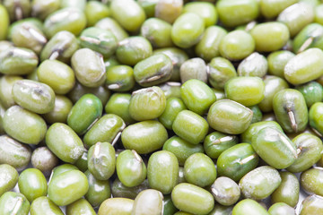 Mung bean close up