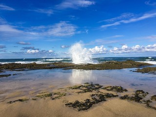 The Entrance - Image copyright Ann Bagnall 2016 all rights reserved