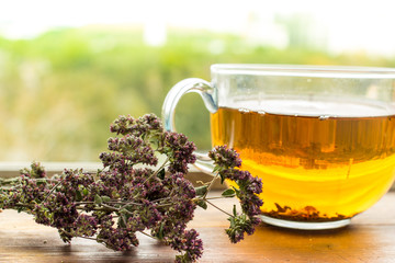 A cup of tea with oregano herb on wooden table near the window. 