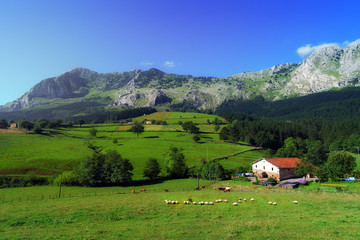 Fototapeta na wymiar house in Axpe in Basque Country