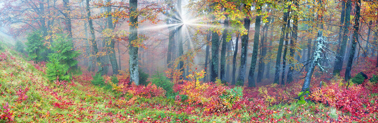 Autumn in the mountains of Europe