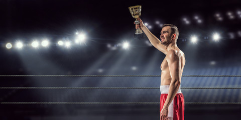 Obraz premium Professional box champion . Mixed media