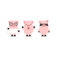 three cute flat pig character