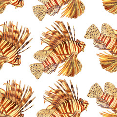 Obraz premium Akwarela ryba. Ryby morskie zestaw ilustracji na białym tle