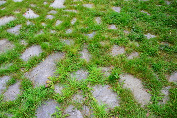 Grüner Weg