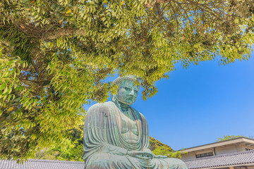 The Great Buddha in Kamakura