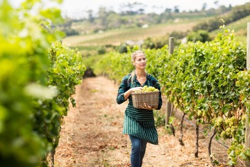 Young woman harvester working