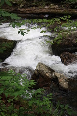 Running Waters in the Dark Forest