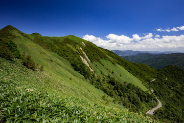 伊予富士（愛媛県石鎚山系）