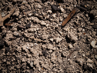 Soil Background