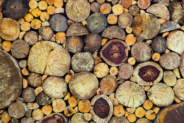 Dry chopped firewood logs stacked up on top of each other in a p