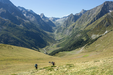 Fototapeta na wymiar Tourists on a background of mountain scenery.