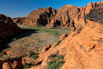 Fototapeta na wymiar Snow Canyon State Park -Ivins -Utah. This scenic desert red rock park has numerous trails, canyons, and spectacular vistas.