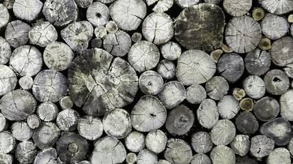 Dry chopped firewood logs stacked up on top of each other in a p