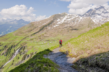 Grindelwald, Alpen, Berner Oberland, Schweizer Berge, Waldspitz, Wanderweg, Wanderer, First, Alm, Sommer, Schweiz
