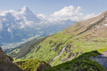 Grindelwald, Alpen, Berner Oberland, First, Wanderweg, Waldspitz, Eiger, Mönch, Jungfrau, Wanderferien, Schweizer Berge, Sommer, Schweiz