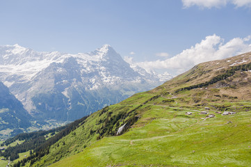 Grindelwald, Dorf, Berner Oberland, First. Waldspitz, Wanderweg, Alm, Alpen, Eiger, Eigernordwand,...