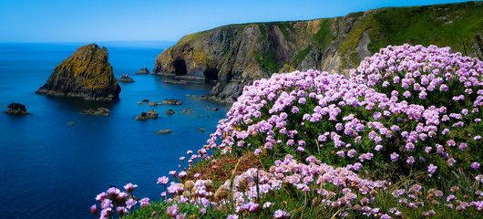 Ireland Coast2