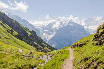 Grindelwald, Dorf, Berner Oberland, First, Alpen, Wanderweg, Waldspitz, Schreckhorn, Grindelwaldgletscher, Wanderferien, Sommer, Schweiz
