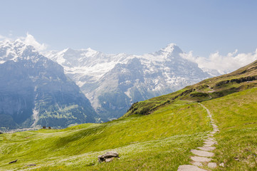 Grindelwald, Dorf, Bergdorf, First, Alpen, Wanderweg, Eiger, Eigernordwand, Schreckhorn, Berner Oberland, Sommer, Schweiz