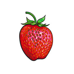 Ripe red strawberry, realistic drawing vector illustration isolated on white background. Single strawberry with green leaves on white background, botanical illustration, design element