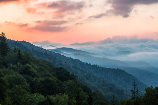 Fototapeta Rano w Great Smoky Mountains