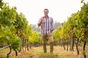 Portrait of smiling male vintner holding a glass of wine