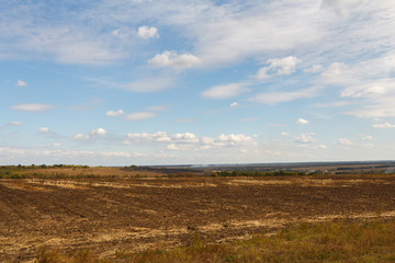 Fototapeta premium Cultivated field under blue sky