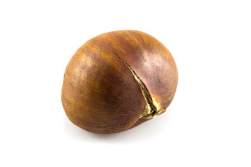 Single chestnut isolated on white