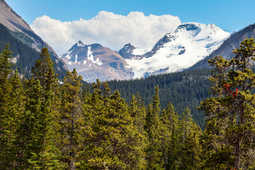 Obraz premium Icefields Parkway- Banff National Park- Alberta- CA Every twist and turn on the Icefields Parkway takes one to magnificent mountain scenery.
