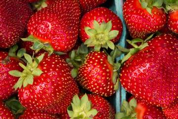 Strawberries close up