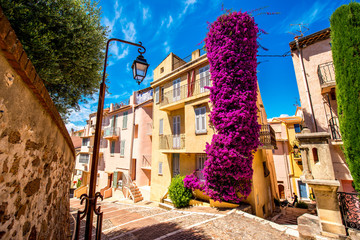 Beautiful residential buildings with colonial architecture with big flower bush in Cannes city in French riviera. - obrazy, fototapety, plakaty