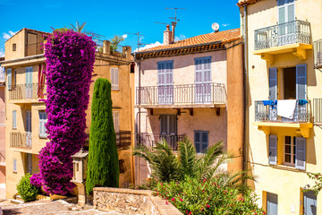 Beautiful residential buildings with colonial architecture with big flower bush in Cannes city in...