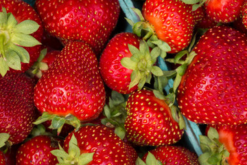 Strawberries close up