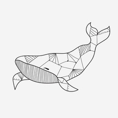 Whale coloring book for adults vector illustration